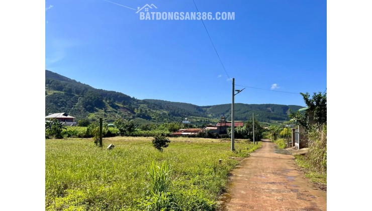 Cần Bán Đất Đông Thanh 397m², 200m² Đất Ở, Ô Tô Tận Đất, View Đồi Núi